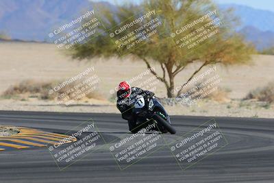 media/Feb-04-2023-SoCal Trackdays (Sat) [[8a776bf2c3]]/Turn 4 (Tree of Life 2pm)/